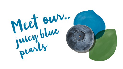 Meet our<br>juicy blue<br>'pearls'