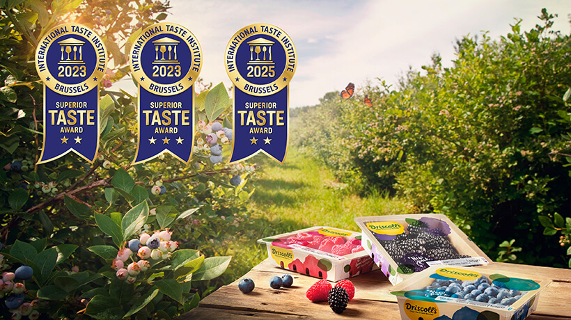 Superior Taste Award