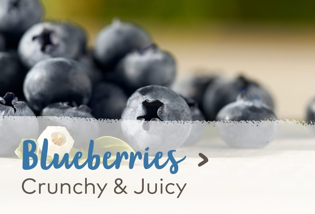 Blueberries