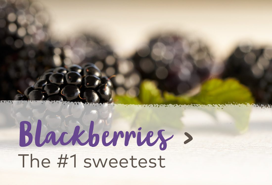 Blackberries