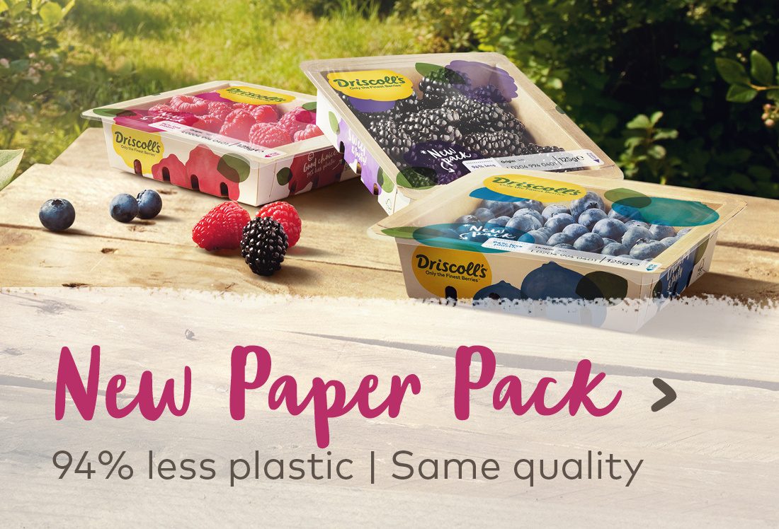 New Paper Pack - 94 less plastic