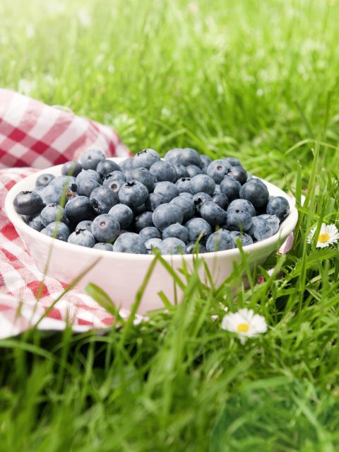 blueberry calories
