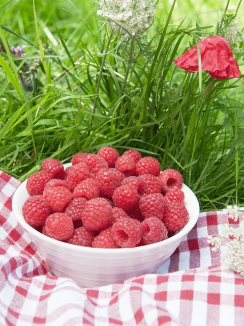 fiber raspberry