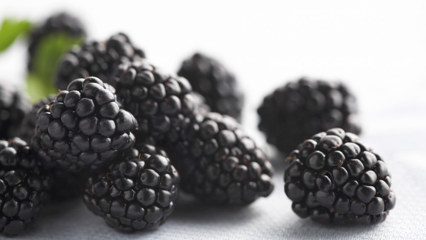 Health Benefits Blackberries