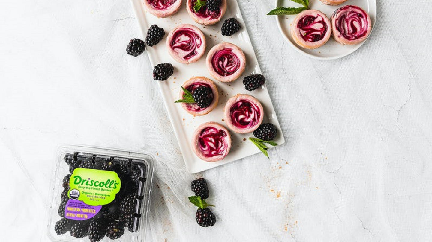 White Chocolate Cheesecakes with Blackberry Swirl Driscolls