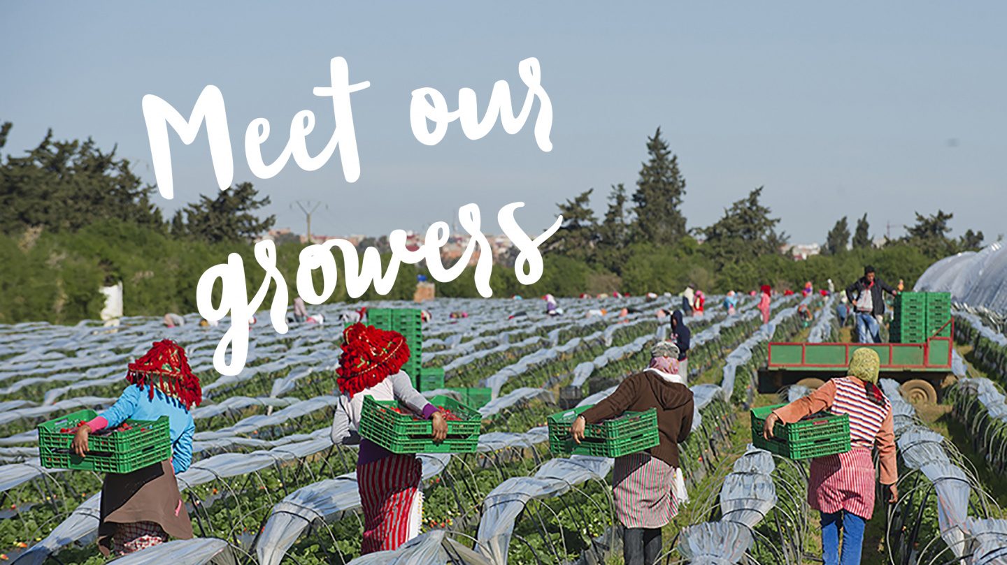 Just ask our growers