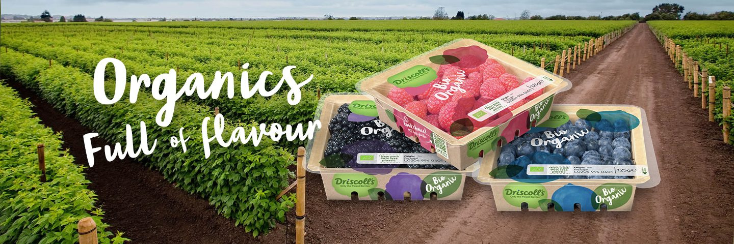 Organic berries