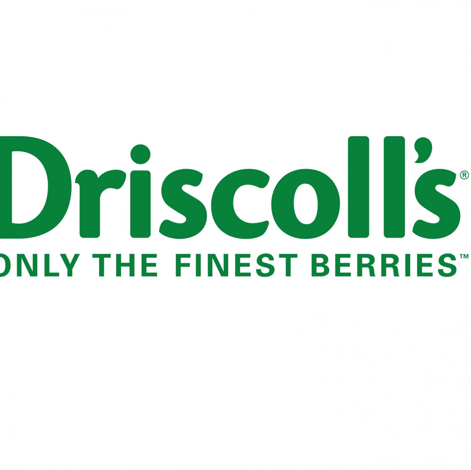 Our story Driscoll's