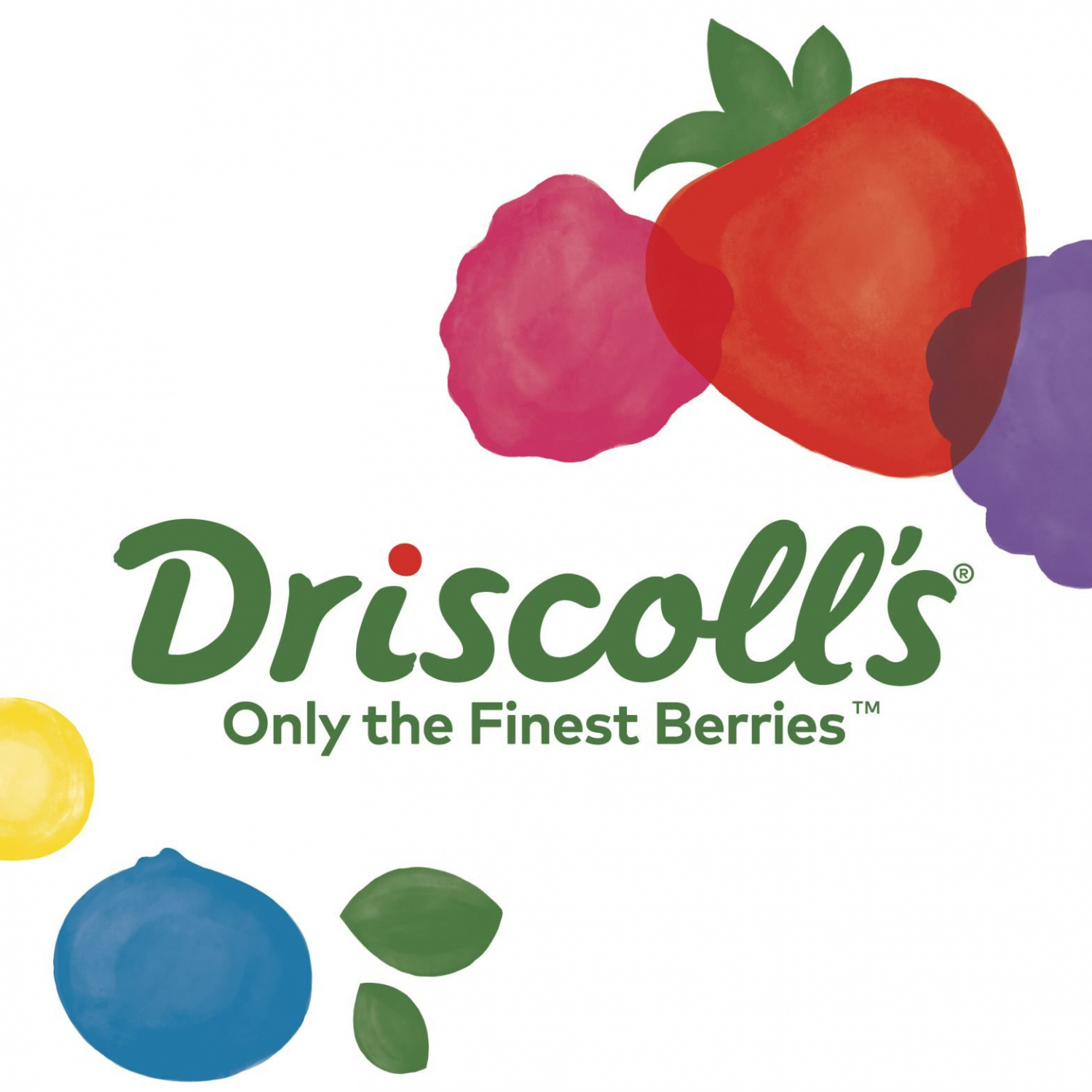 Driscoll's Only the finest berries Driscoll's