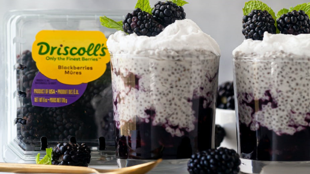 Blackberry Chia Seed Pudding Parfait Driscolls 