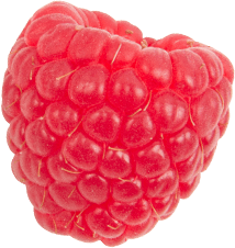 Raspberry