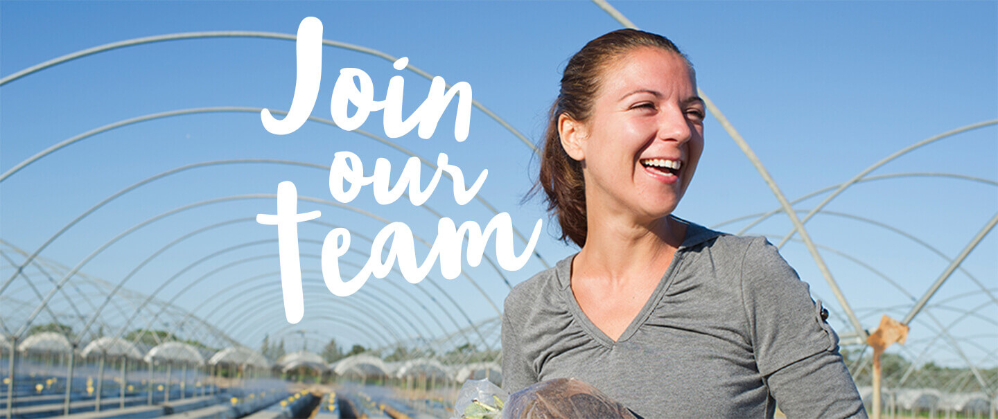 Join our team!