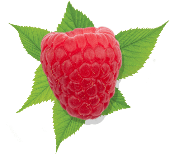 raspberry